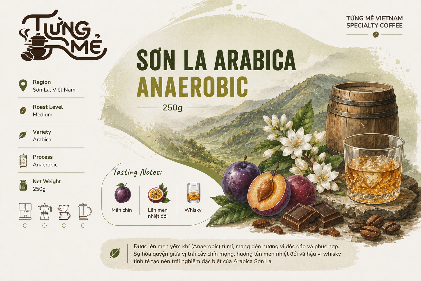SƠN LA ARABICA ANAEROBIC