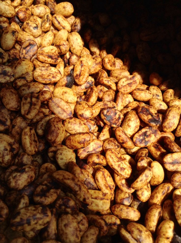 SƠN LA ARABICA HONEY