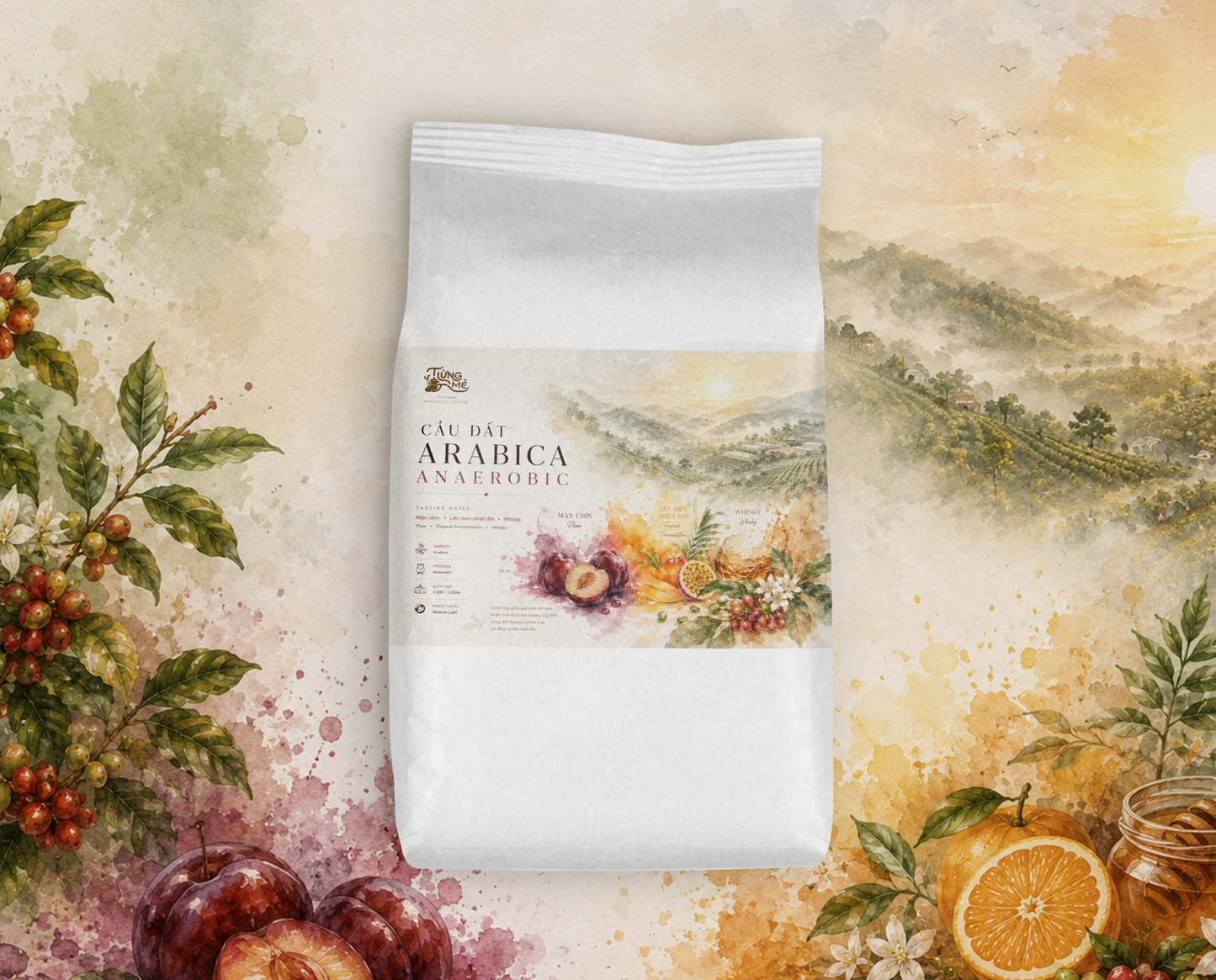 CẦU ĐẤT ARABICA ANAEROBIC