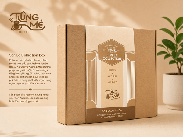 SƠN LA COLLECTION BOX