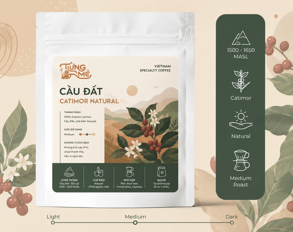CẦU ĐẤT CATIMOR NATURAL