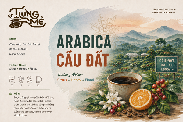 CẦU ĐẤT ARABICA NATURAL