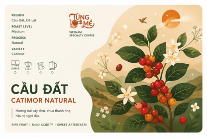 CẦU ĐẤT CATIMOR NATURAL