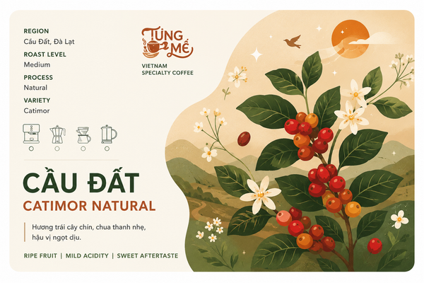 CẦU ĐẤT CATIMOR NATURAL