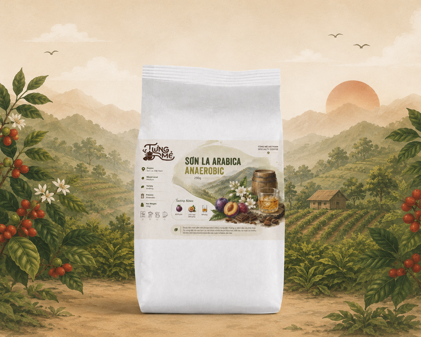 SƠN LA ARABICA ANAEROBIC