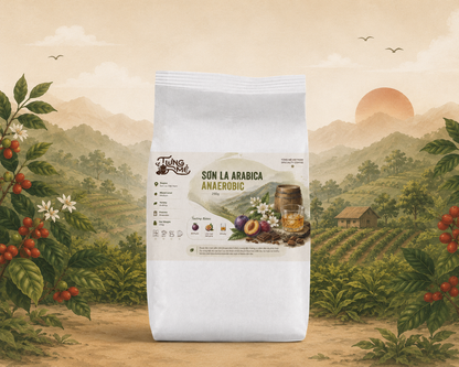 SƠN LA ARABICA ANAEROBIC