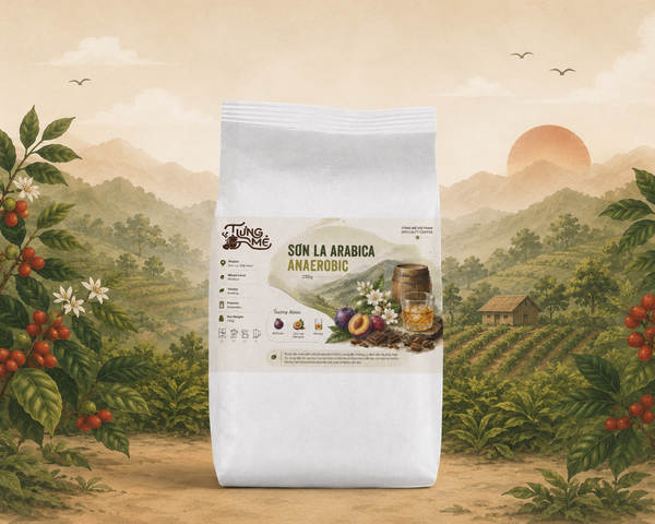 SƠN LA ARABICA ANAEROBIC