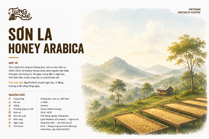 SƠN LA ARABICA HONEY