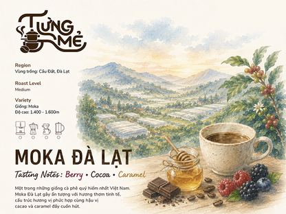 ĐÀ LẠT MOKA WASHED