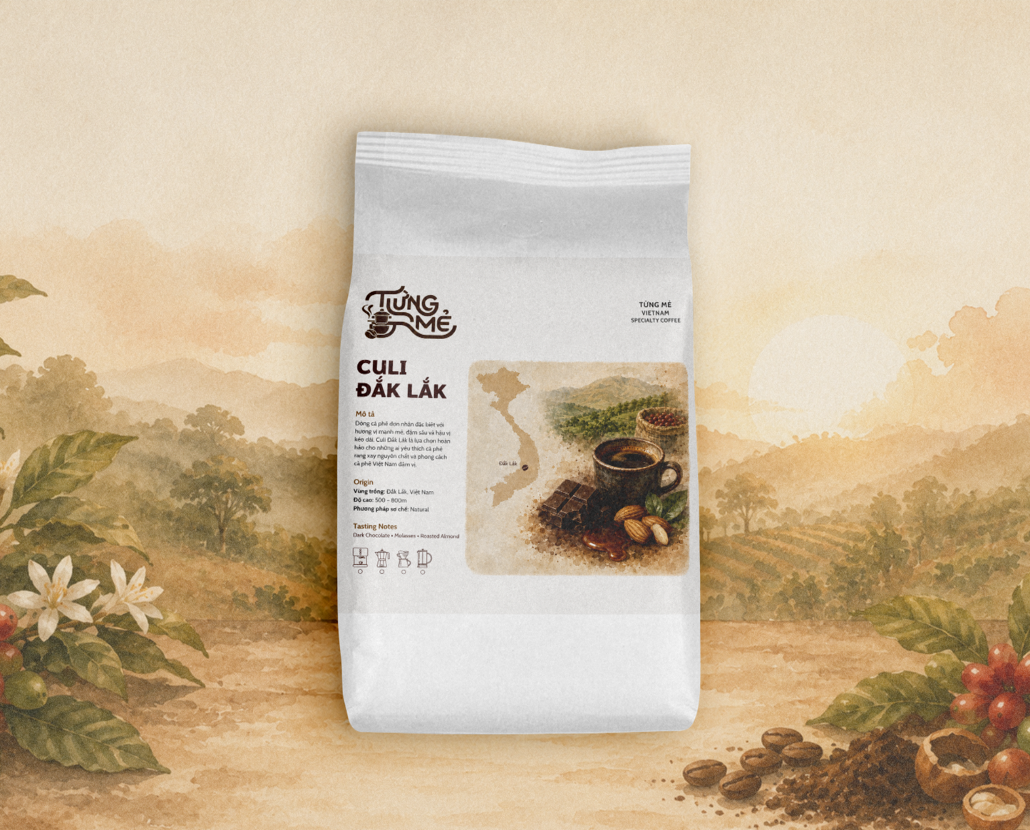 ĐẮK LẮK CULI ROBUSTA NATURAL