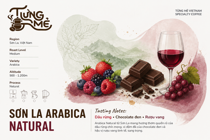 SƠN LA ARABICA NATURAL