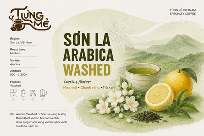 SƠN LA ARABICA WASHED