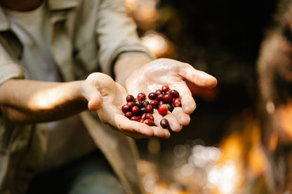CẦU ĐẤT ARABICA NATURAL