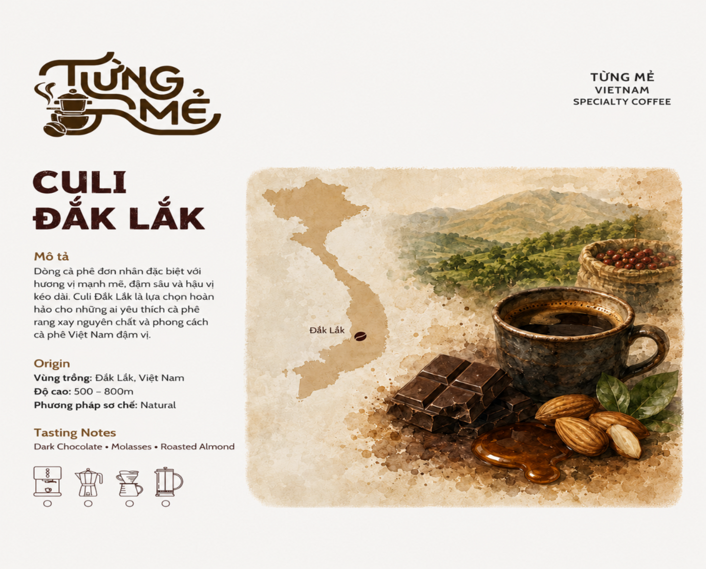 ĐẮK LẮK CULI ROBUSTA NATURAL