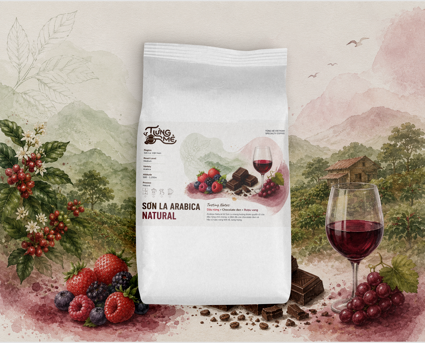 SƠN LA ARABICA NATURAL