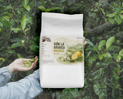 SƠN LA ARABICA WASHED